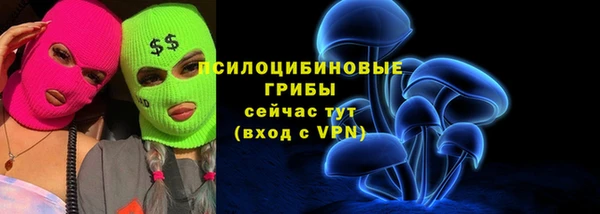 СК Арсеньев
