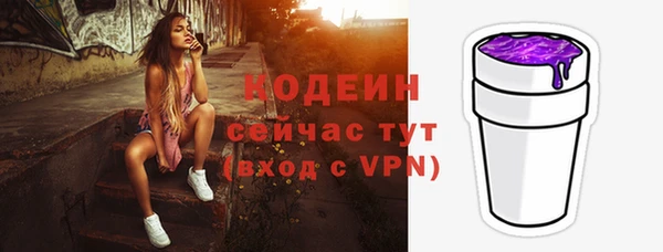 СК Покачи