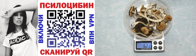 Псилоцибиновые грибы Cubensis  Сибай 